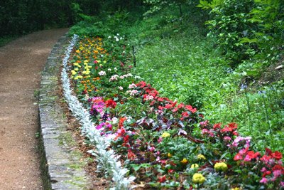 Цветники для цветов на даче (разновидности, описание)